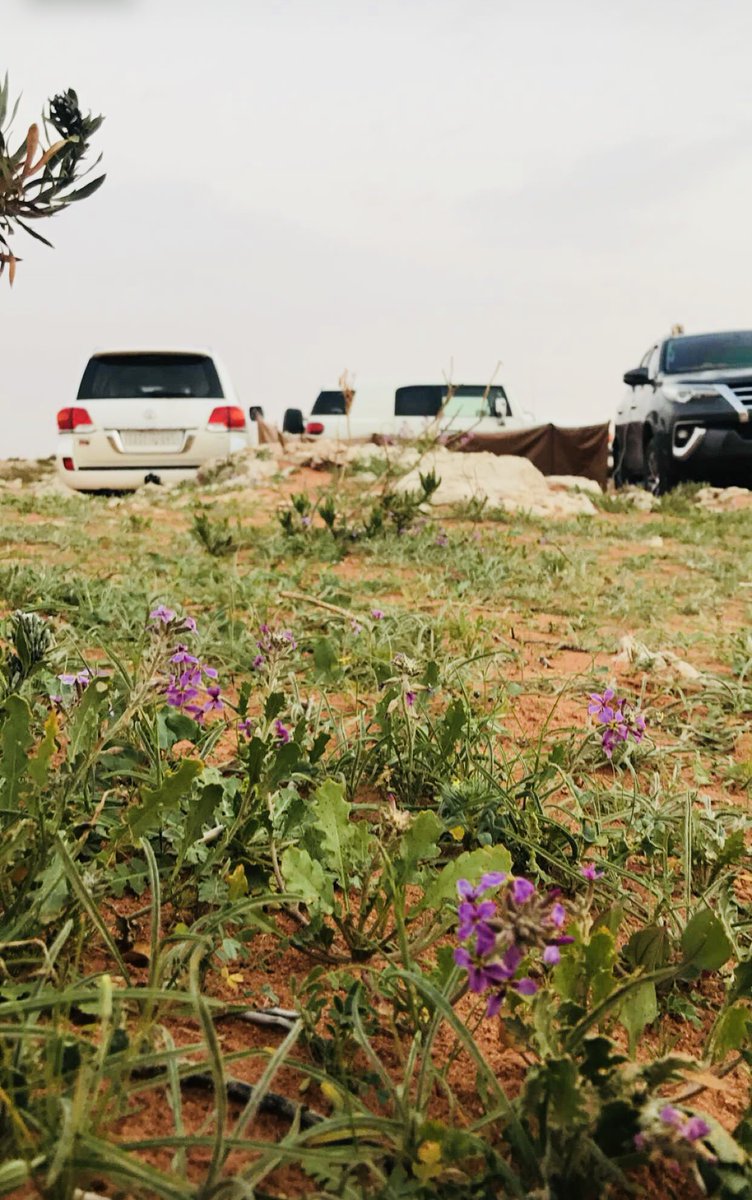 raid_58's tweet image. جلستنا في روضة خريم