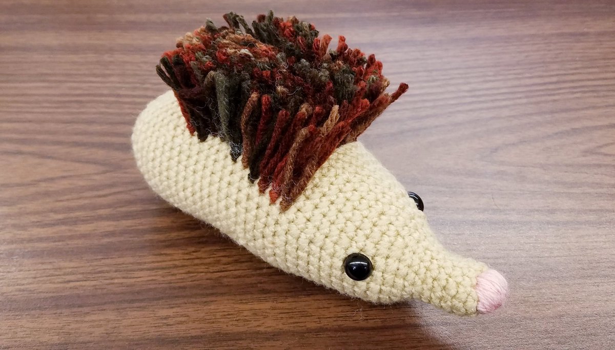HopivoreAndy's tweet photo. #ProjectHedgehog #workinprogress pic for the day. https://t.co/ih3ydrs7xO