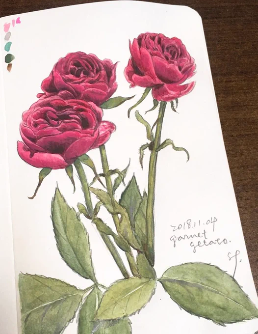 花とかも、おっかなびっくり描いてみたけど楽しかったな 