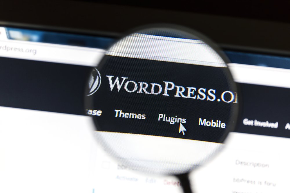 Every website Highland Speed Web make is built with WordPress. It makes your website easy to edit, easy to upgrade, and easy to add to. No wonder WordPress powers more than 30% of the web!

Learn more about how WordPress can help your small business: highlandspeedweb.co.uk
