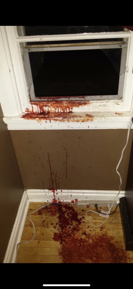 Jaycazzzz's tweet photo. To the person who broke in last night, thanks for getting my cat riled up https://t.co/G3JoUi3CZH