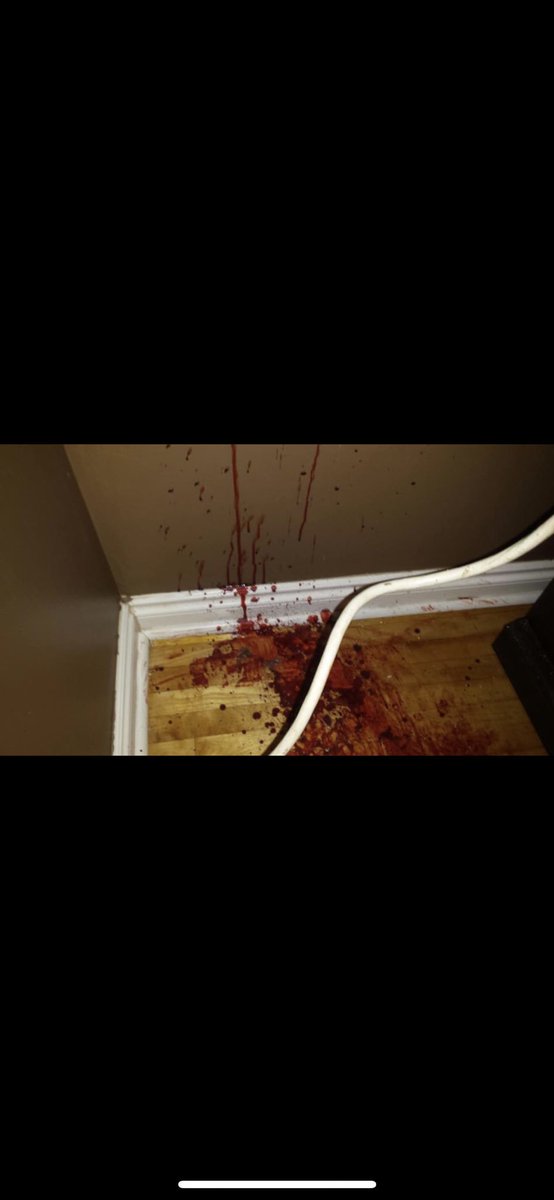 Jaycazzzz's tweet photo. To the person who broke in last night, thanks for getting my cat riled up https://t.co/G3JoUi3CZH