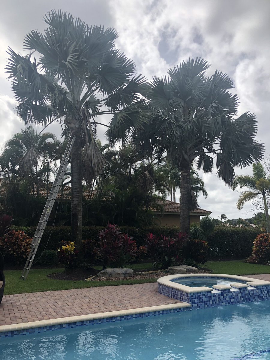 ALTreeCompany's tweet image. #ALTreeCompany