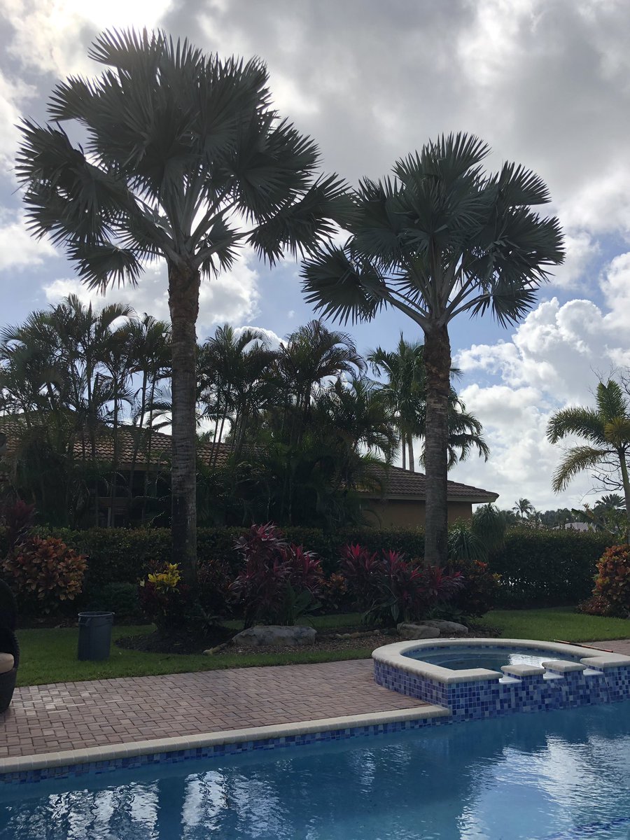 ALTreeCompany's tweet image. #ALTreeCompany