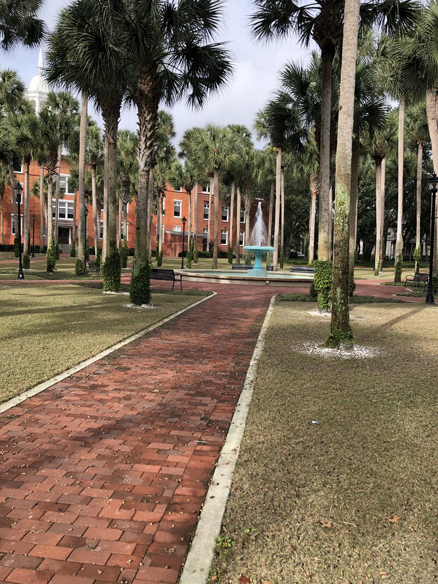 mendi_camacho's tweet photo. β
Accepted
β
Presidential Scholarship
β
Info Session & Tour
Now she just has to decide and commit!
#visitstetson @StetsonU @StetsonAdmit https://t.co/AB12cf1rBH