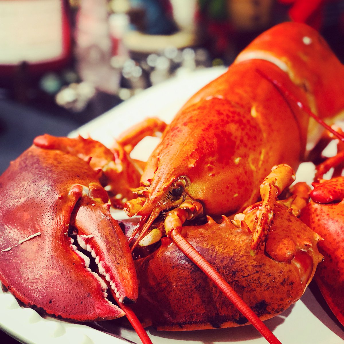 thehungrymouse's tweet photo. 🍤🍤🍤 Lobster love! FANTASTIC holiday dinner this week! 🍤🍤🍤 #foodporn #foodblogger #seafood #lobster #lobsterlover #seafoodporn #newenglandliving #newenglandblogger #SaturdayMotivation #weekendvibes #WeekendWisdom https://t.co/lWgFqfyQIP
