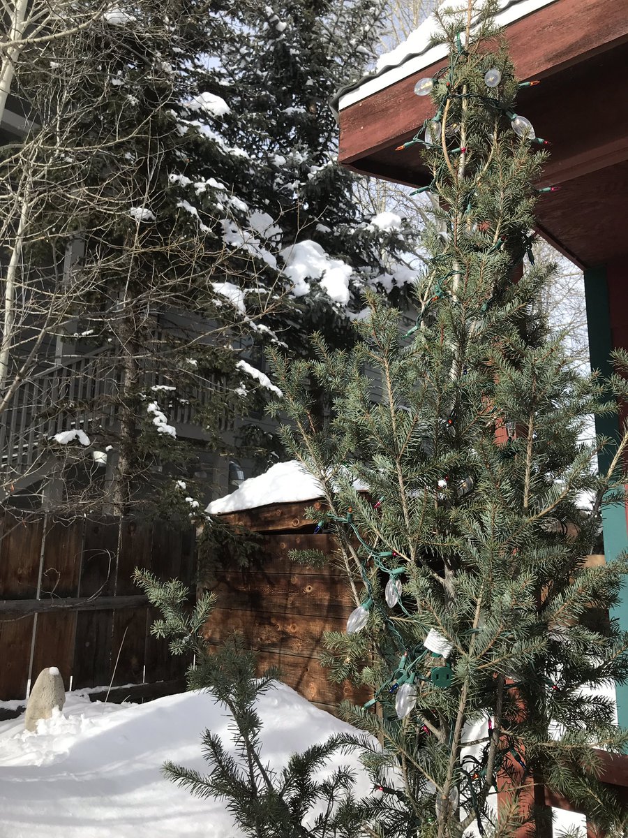 IMSMR's tweet image. Crested Butte!