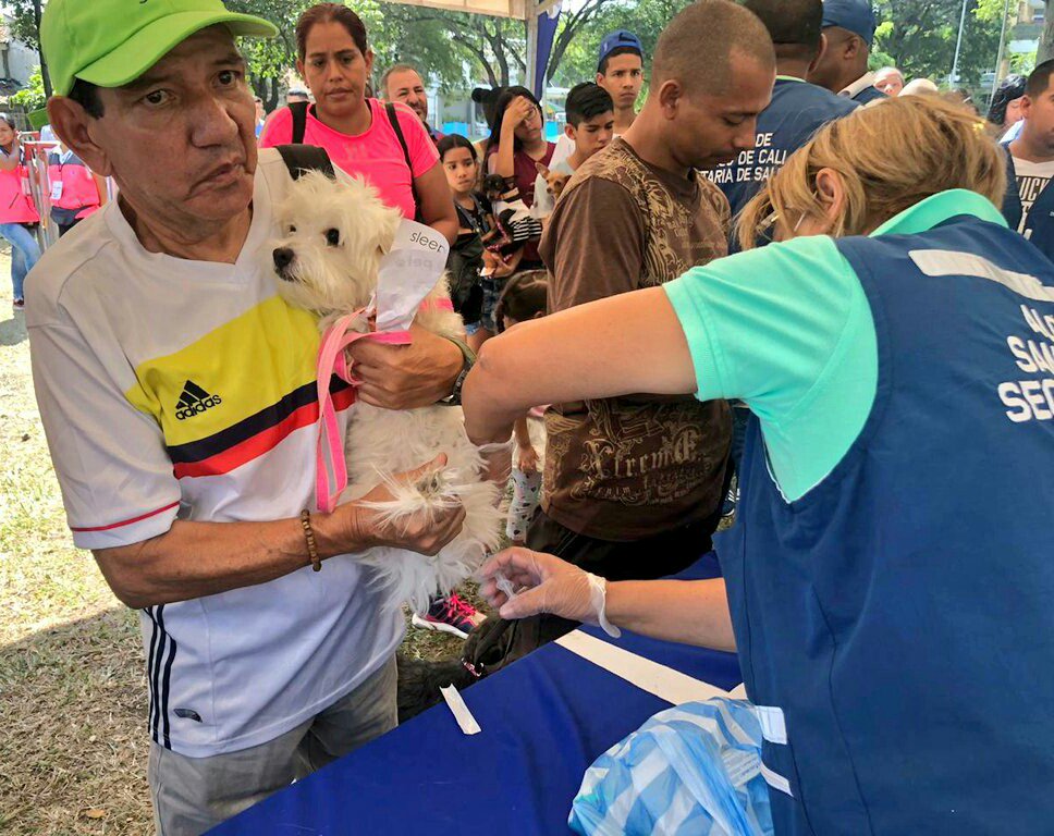 luladastereo's tweet photo. #FestivalDeMascotas Así transcurre el Festival de Mascotas en el Marco de @feriadecaliof y La Lulada Stereo presente https://t.co/sIM1s3d10J