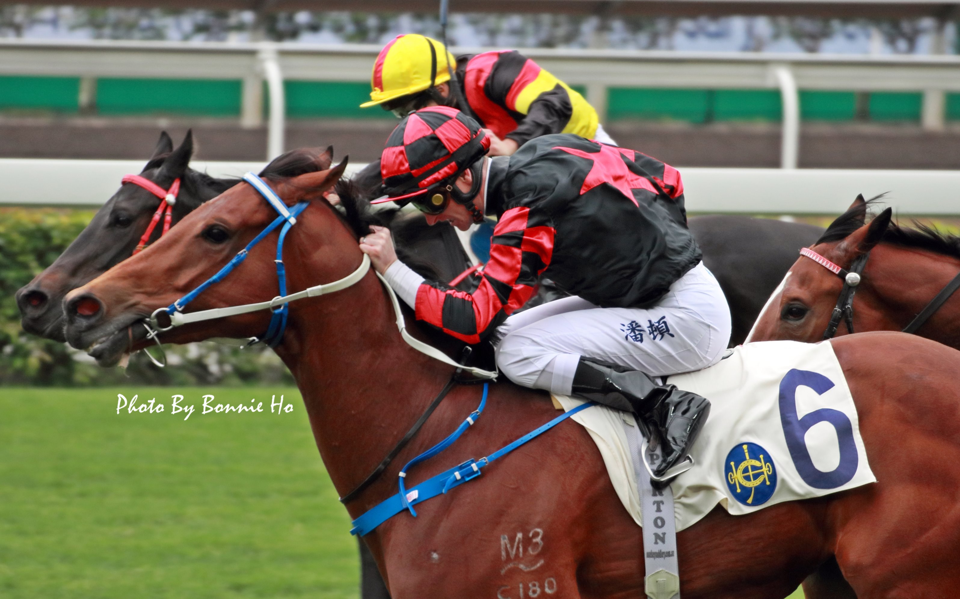 Bonnie Ho On Twitter Dancing Fighter Which Is Owned By The Star Singer Aaron Kwok Strike It S First Win With Zac Purton Today é¦™æ¸¯è³½é¦¬ Hkracing ç«¶é¦¬ èˆžå£«ç²¾ç¥ž Dancingfighter èˆžå°çŽ‹è€…