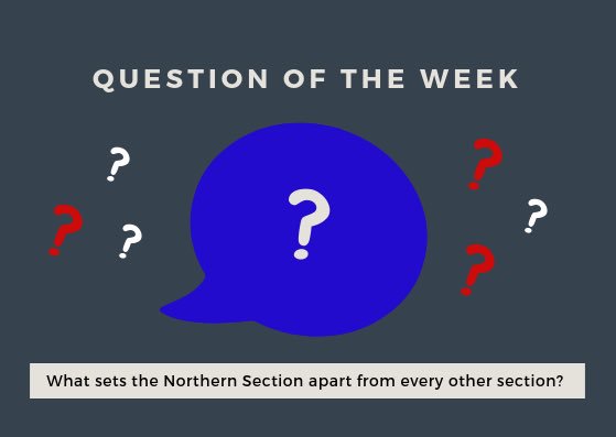 ca_fblanorth's tweet photo. Hey Northern Section FBLA members what do you think sets the Northern Section apart from every other section? https://t.co/JmCaDDV2js