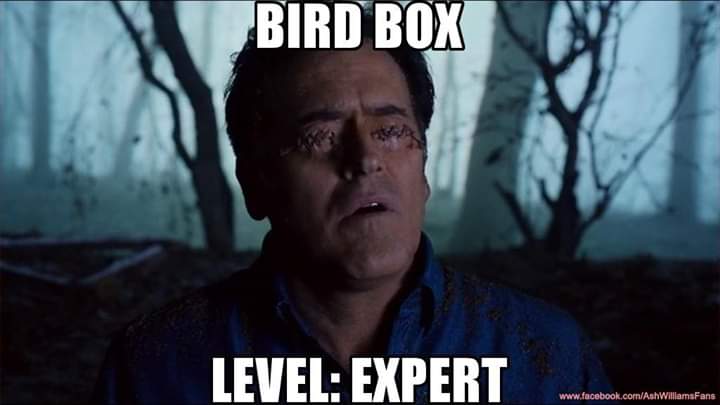 AshWilliamsFans's tweet photo. #BirdBox Level: Expert
@netflix @AshvsEvilDead @GroovyBruce https://t.co/JzWZDT5DTk