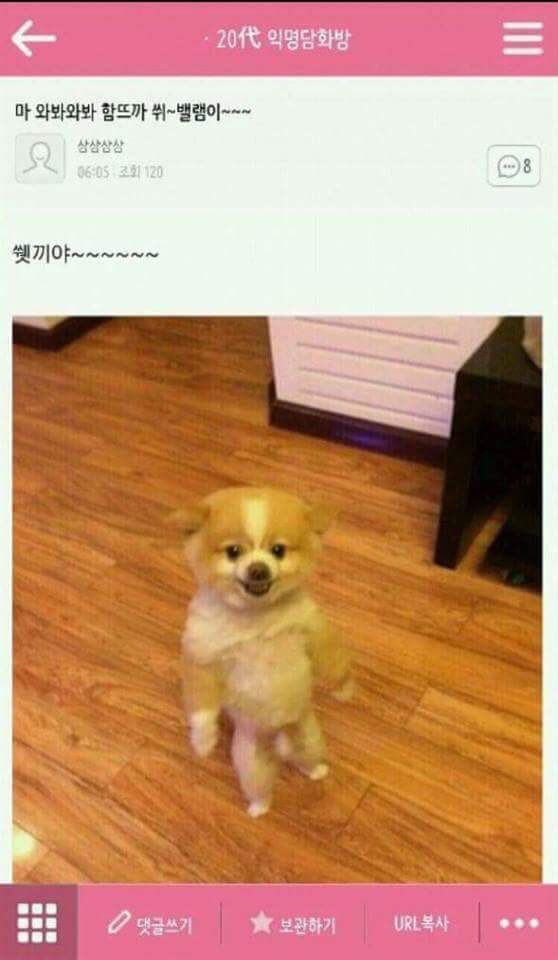 yp_th__'s tweet photo. ㅋㅋ 모태구한테 개기는 최흥철 ㅋㅋㅋ https://t.co/dxf15MSNTf