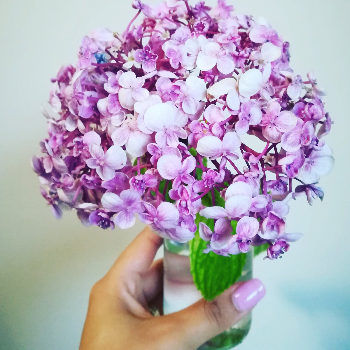Masters_Blog's tweet image. How Gorgeous are these Flowers

2019 I&apos;m definitely having more flowers in my home.

Bloom and Blossom where you are planted Beauties

#mastersbeautyblog #flowers #pretty #prettyflower