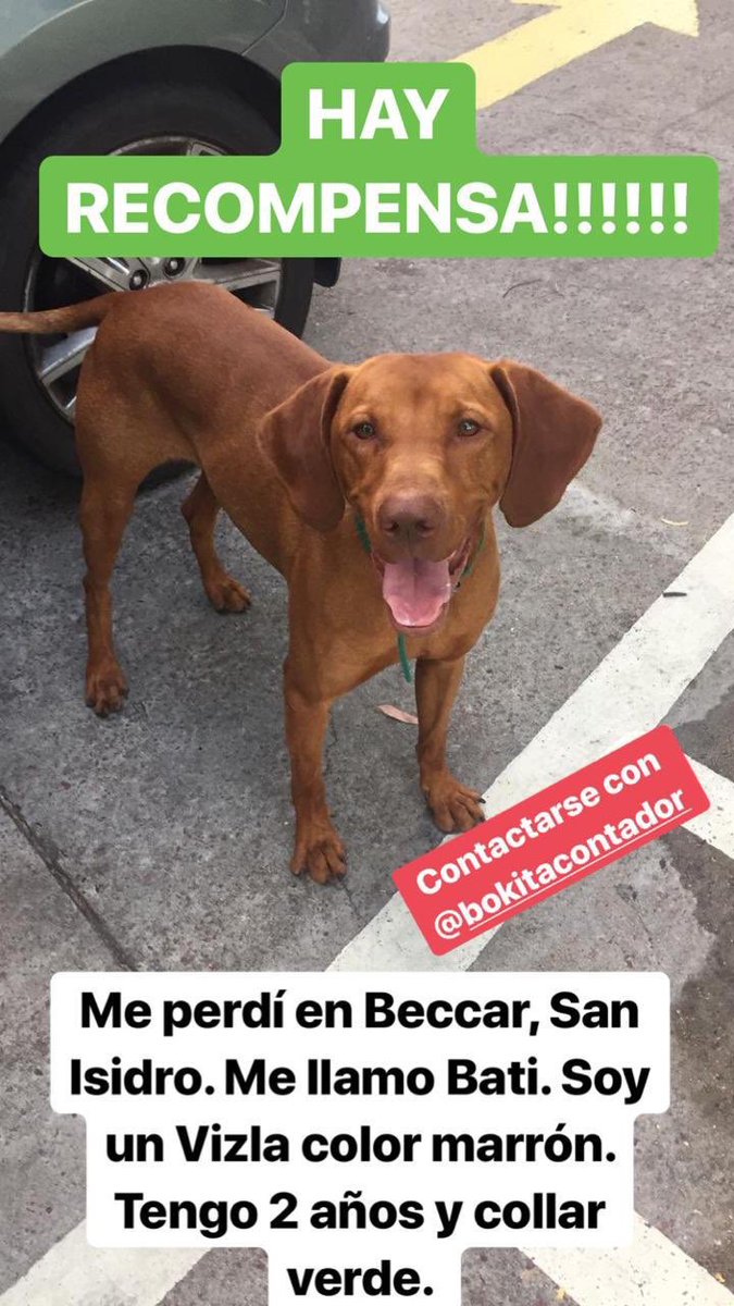 🙏estan desesperados