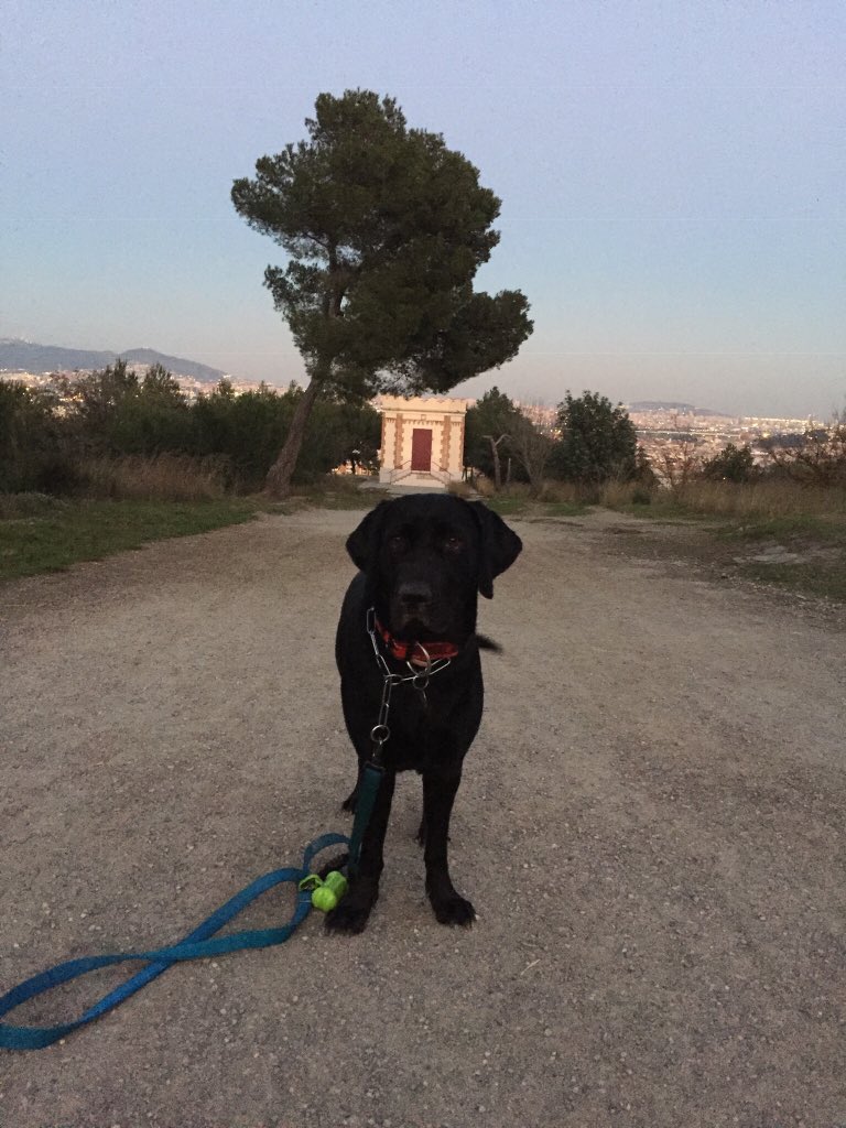 sijopuctutambe's tweet photo. #SantBoi #sijopuctutambe #siellapotjotambe https://t.co/pPqdcweeOX
