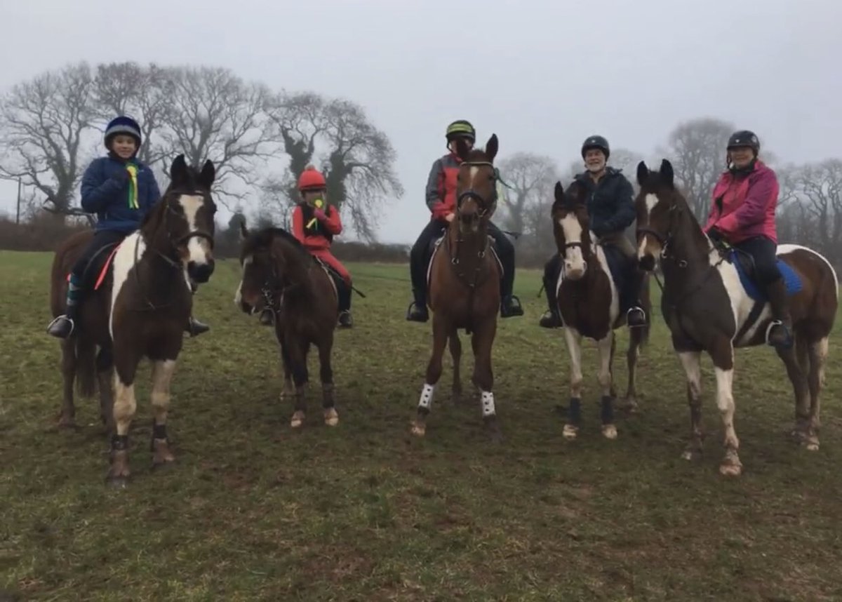 Golden Castle Riding Stables tweet media