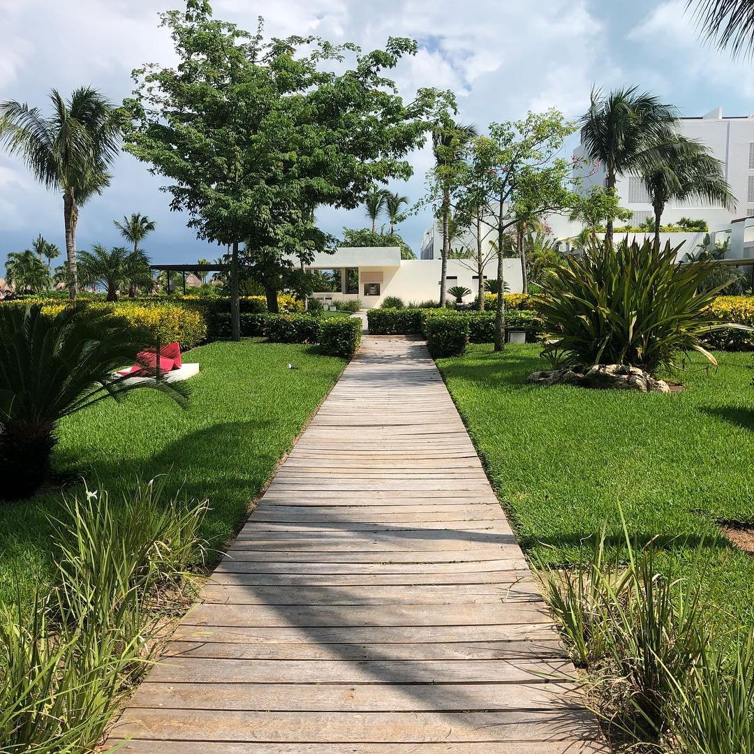TheExcellenceCo's tweet photo. π This is how our last weekend of 2018 looks!π΄ Will you ring in the New Year with us? Share tour pictures! π #FinestPlayaMujeres #HappySaturday #ExcellenceGroup https://t.co/kS0bfQjKKZ