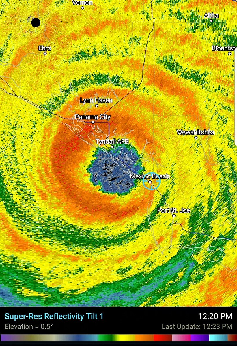 Simon Brewer tweet media