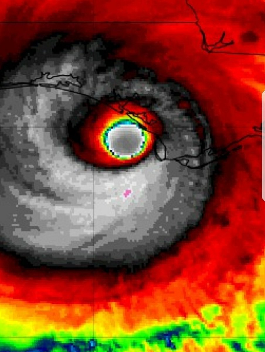 Simon Brewer tweet media