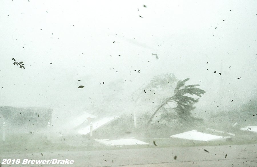 Simon Brewer tweet media