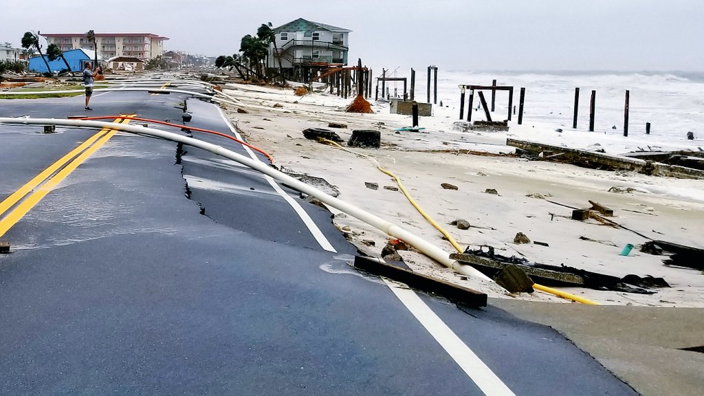 Simon Brewer tweet media