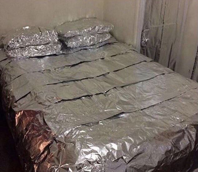 StinoStaySmooth's tweet image. When the nap was soo damn good, you gotta save that shit for later.