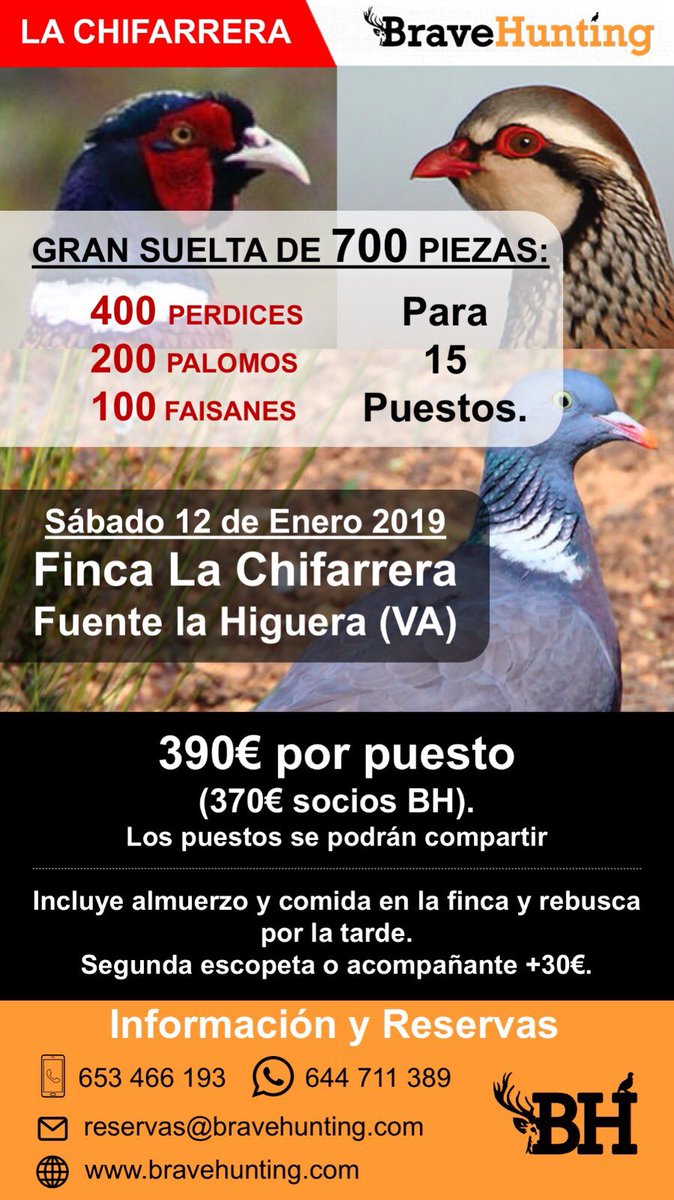BraveHunting's tweet photo. ❗GRAN SUELTA DE 700 PIEZAS❗️
Estimado cazador, te envío el detalle de la gran suelta que estamos organizando el 🗓 sábado 12 de Enero 2019 en📍la Finca la Chifarrera en Fuente la Higuera, Valencia.🎯 Soltaremos 400 PERDICES, 200 PALOMOS Y 100 FAISANES para 15 puestos. https://t.co/coVPhSqcmP