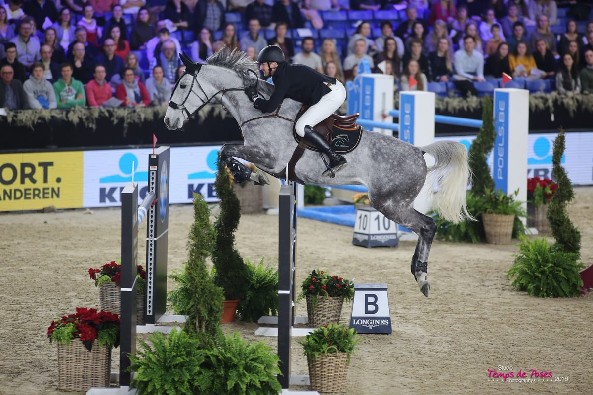 🎉Congratulations to Koen Vereecke and Jativia, winners of the Grand Prix CSI 5* 1m50 !
🥈 Daniel Deusser and Jasmien vd Bisschop
🥉Pius Schwizer and About A Dream 
#jumpingmechelen #GrandPrix #jumping <a href="/FEI_Global/">The FEI</a>