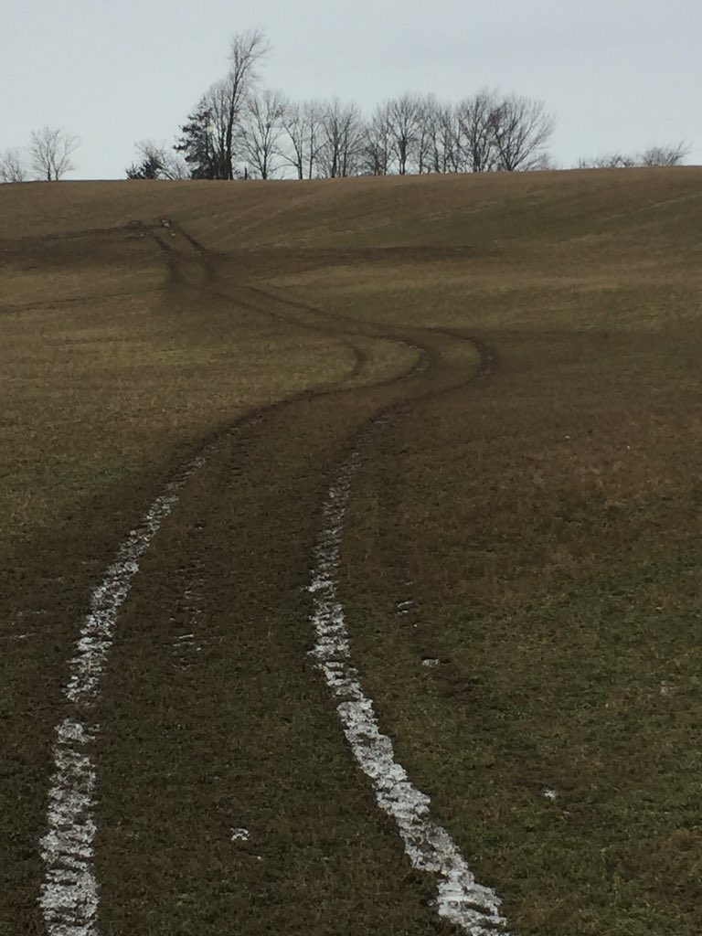 goddendairy's tweet photo. Just want to thank the mother f***** little bitch that did this to my new seeding field. Campbellford area. If anyone finds a truck with mud and alfalfa on it please let me know https://t.co/a3UO1qW1kP