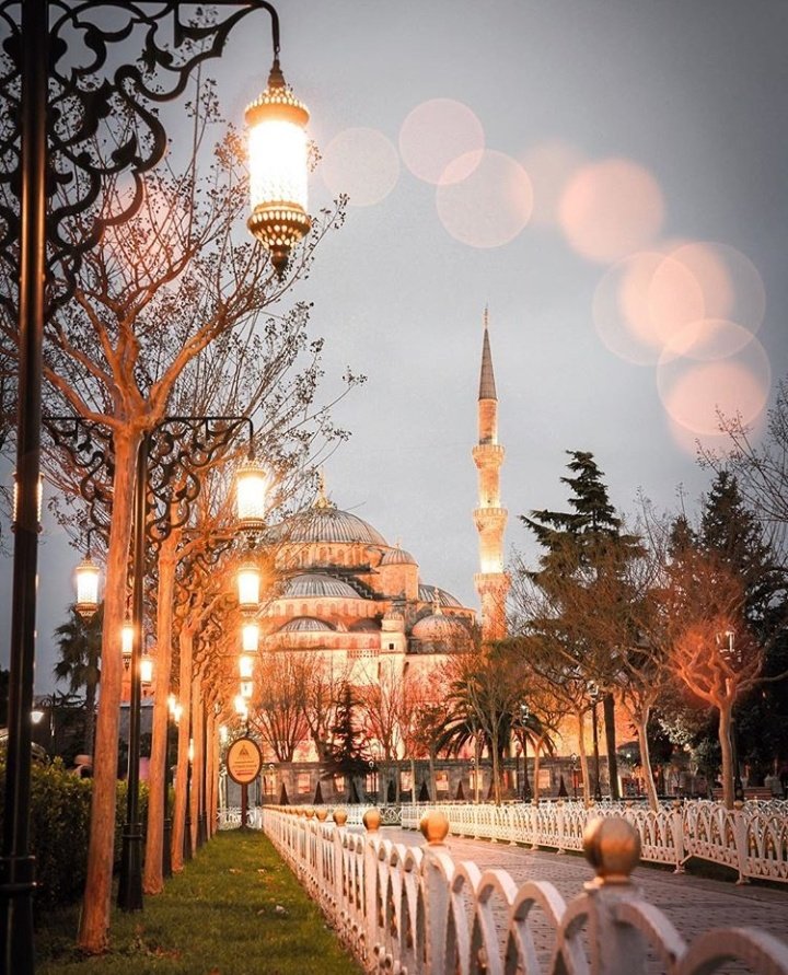 earthcurated's tweet photo. Istanbul, Turkey 🇹🇷 https://t.co/XRxqWvM86u