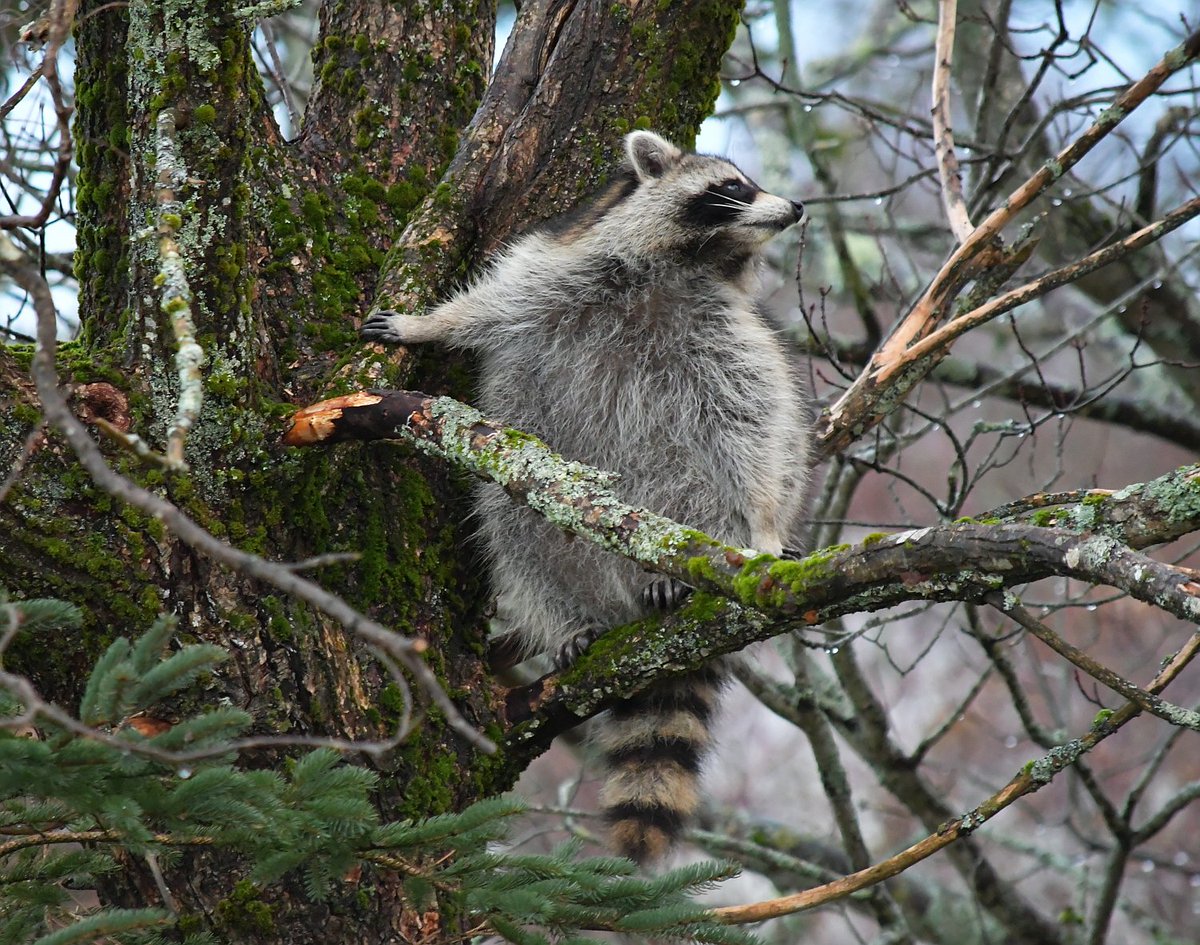 hang in there