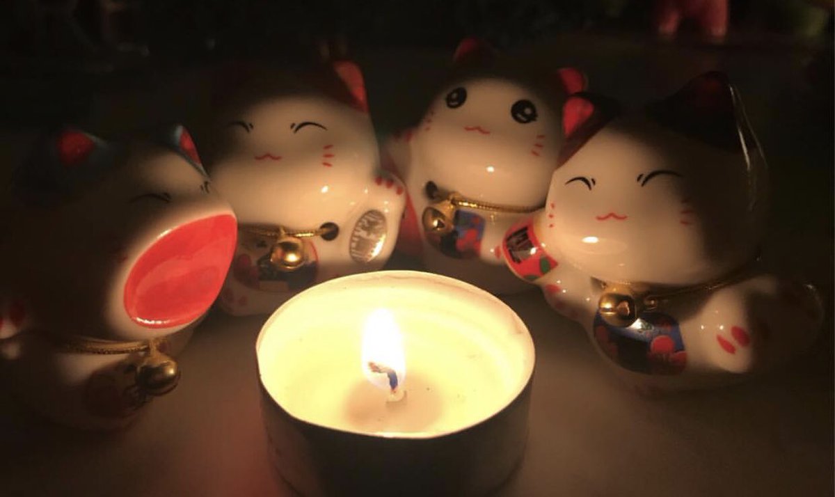 Cheesit4Cheesit's tweet image. steven stop screaming at the campfire pls