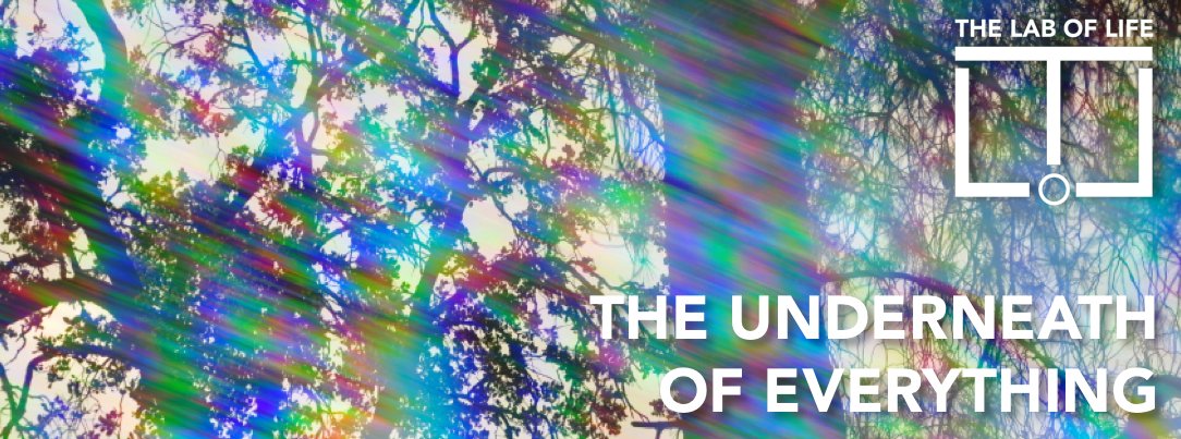 What's it like diving into the hallucinations we call our reality? I wanted to experiment with that...
youtu.be/PSn2_ljUF_Y