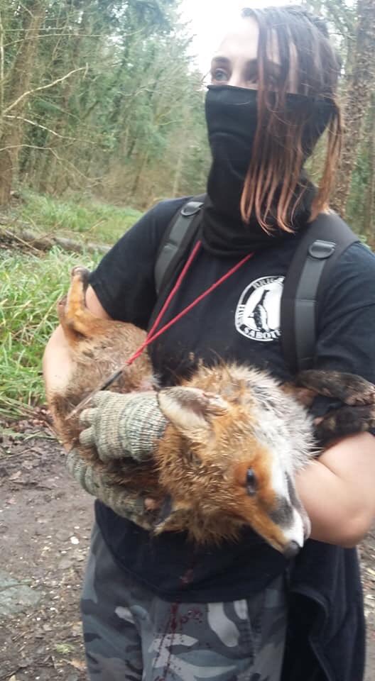 friendofthefox's tweet photo. I once saw this hunt kill a fox in a couple's back garden. They used to feed the fox and were understandably devastated. Hope this court case comes to something. https://t.co/M7TU1FBNG1