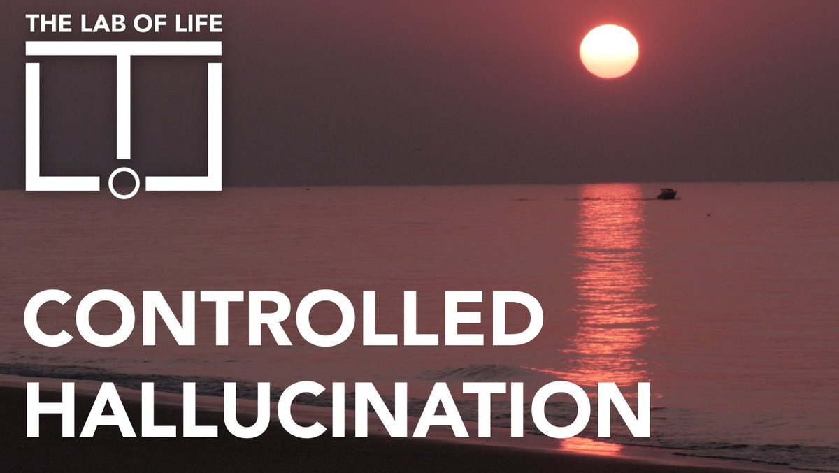 I've been experimenting with how to hallucinate the experiences i want to have as my reality. youtu.be/BgZNKOg8Oxw