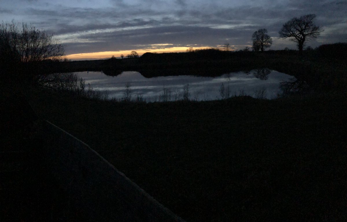 Whole new ball game dusk shooting, still successful though. #friends #sustainable #safe <a href="/beretta_1526/">BERETTA</a>