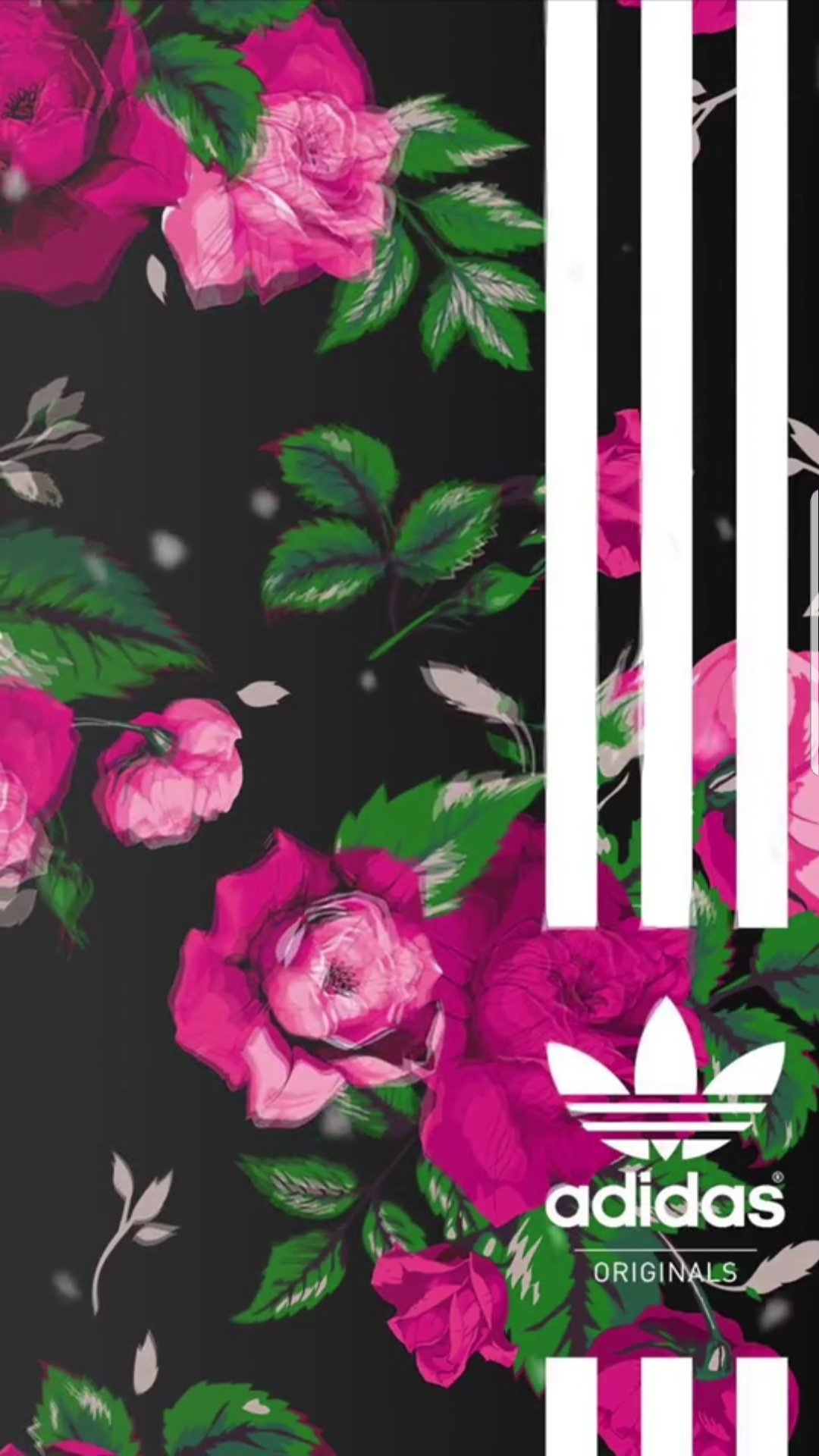 Twitter 上的 ダ イ ロック ホーム画面 Adidas好きにはたまんないね Adidas オシャレ バレー部 T Co A1tb5adufd Twitter