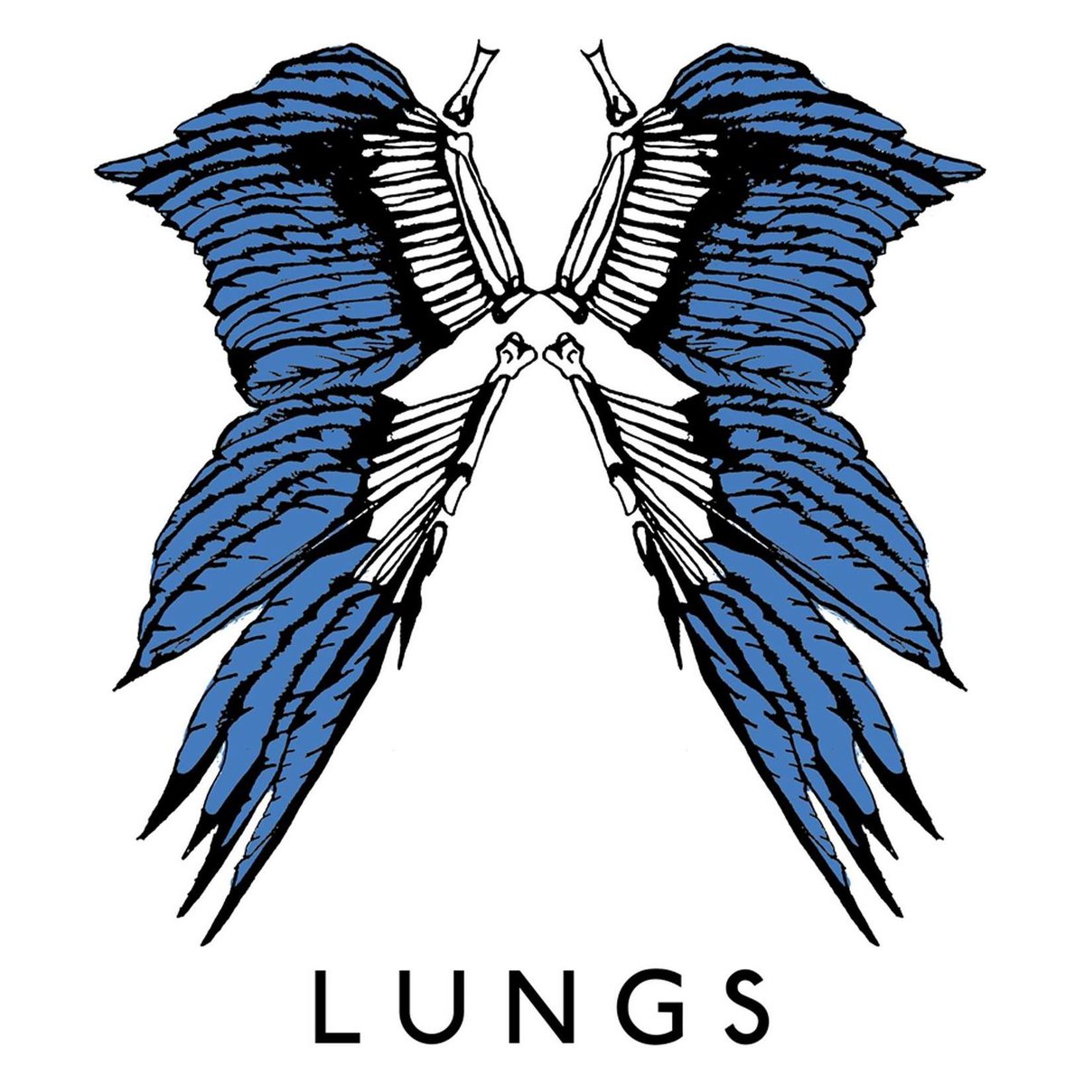 #NowPlaying @L_U_N_G_S made a huge return in the Autumn but came to us first with an incredible live session ▶️ Binoculars & Birdwatchers