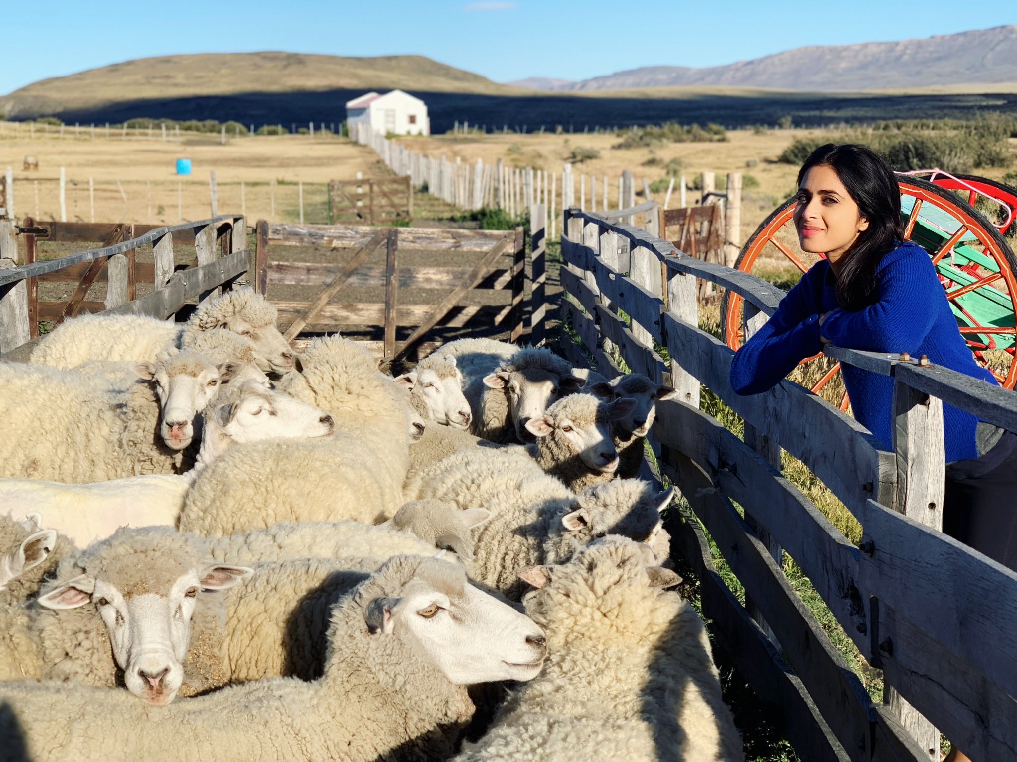 DvnbP-BXQAIMiIV.jpg:large