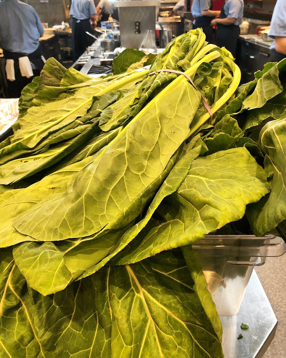 <a href="/kathleenpurvis/">Kathleen Purvis</a> what collard green shortage? 😎 Thanks to <a href="/FreshlistCLT/">Freshlist CLT</a> for the always beautiful, always local greens!