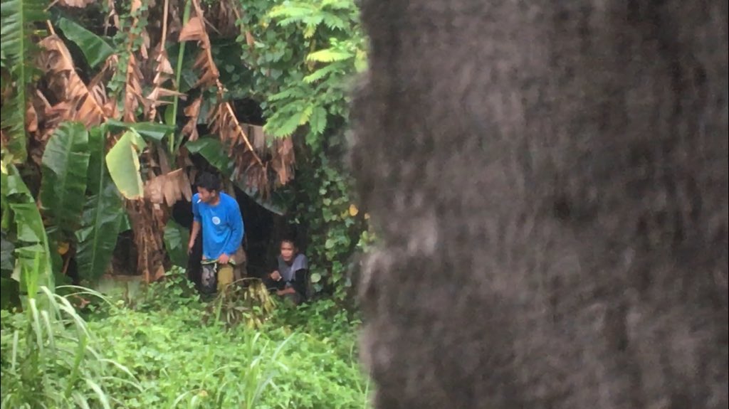 IamIsidroP's tweet photo. Yung may narinig kang sumigaw ng “iam the king of the jungle” tapos pag silip mo ito makikita mo. #TheVERSATraveler #jakol #CONSTRU #boso #alter #sarappinoy #sarapngbinata #sarapngbagets #sarapngtitingpinoy https://t.co/BAOSDZWVHu