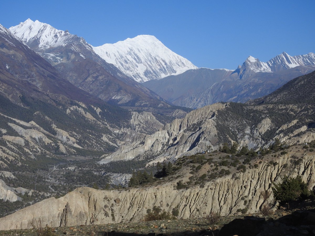 torvaanser's tweet photo. What does a typical day look like when my team and I are in the #Himalaya? Check out our best photos from 2018! 📸👇
https://t.co/x6yRMA6uxe
#HimalayanMuttProject #volunteering #dogs #donations #infectiousdiseases #neutering #rabies #donate #himalaya https://t.co/4So7h1cvuA