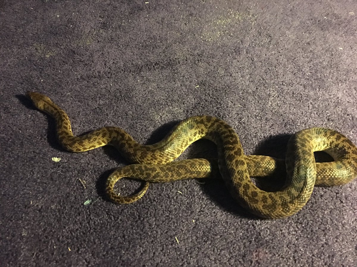 Julia Rutherford tweet media