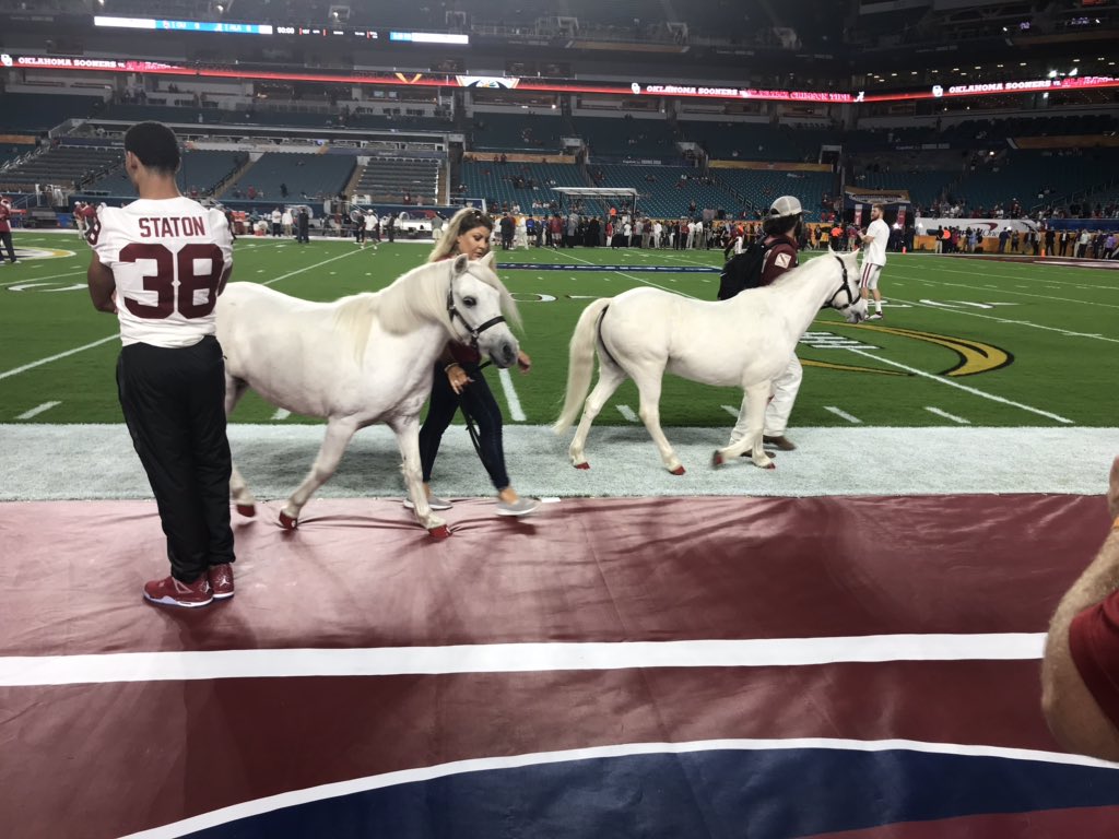 TRowOU's tweet photo. The ponies are officially out of the barn! #OrangeBowl https://t.co/TAyVSVwWyL