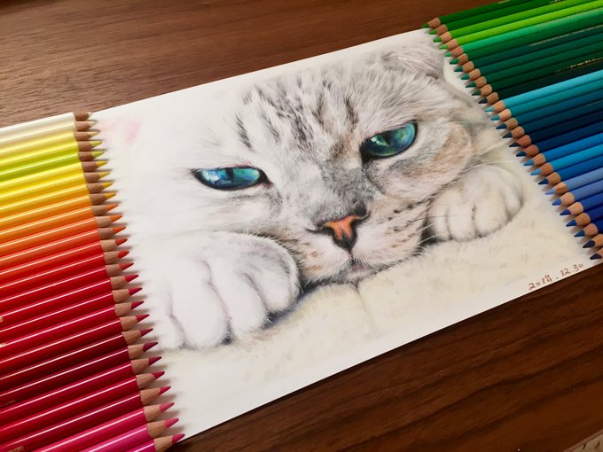 รายการทว Poko 絵描き ให แท กแฮช 模写 1 ว เคราะห ทว ตเตอร กราฟ ก Whotwi