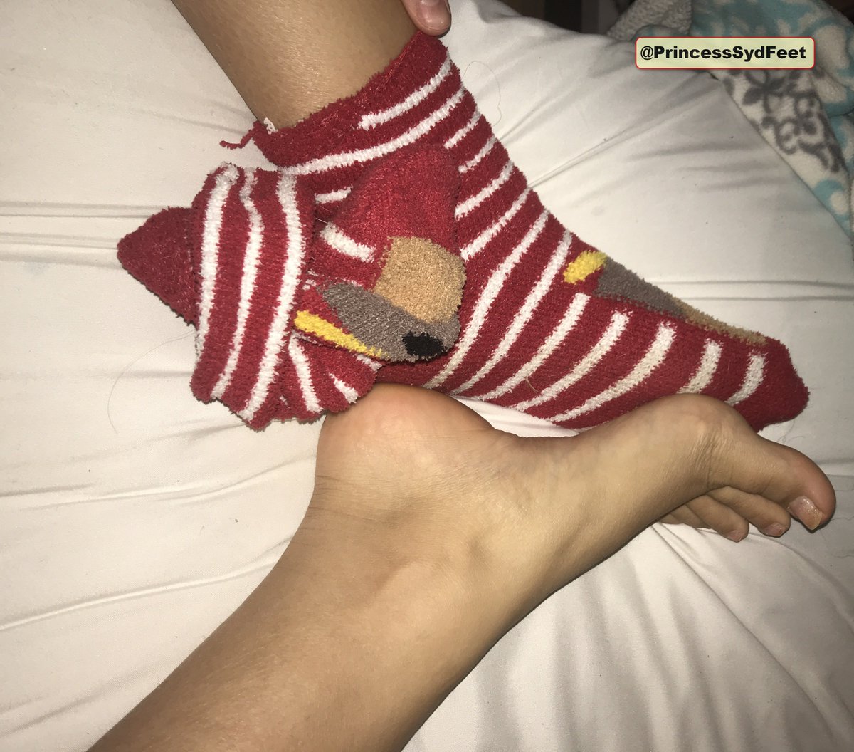 PrincessSydFeet's tweet photo. I've been wearing these #socks for the last 5 days. Who wants them?  #feet #toes #arches #soles #FootFetish #GirlsFeet #AmazingFeet #BeautifulFeet #CuteFeet #GorgeousFeet #HotFeet #PrettyFeet #PerfectFeet #SexyFeet #SweatyFeet #SmellyFeet #StinkyFeet #TeenFeet #TeamPrettyFeet #RT https://t.co/T5USWBKl9F
