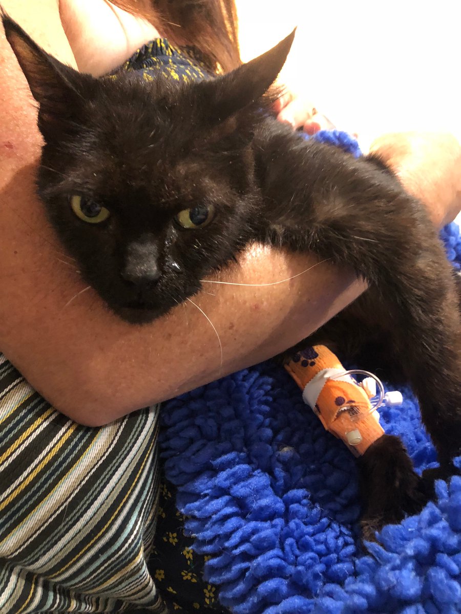 Beau Alexander McNamara tweet media