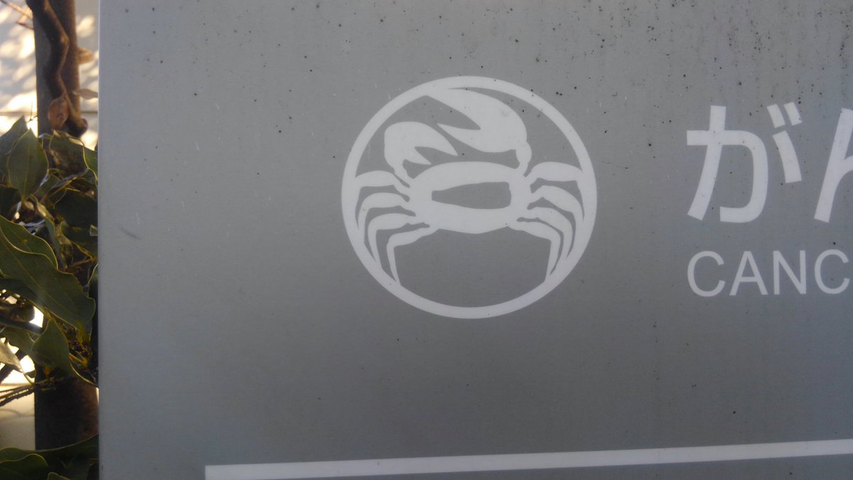 しなの鍔工房 癌は英語でcancer 蟹 と言うのです 何故蟹かと言えば 癌研究の基礎は喉の甲状腺癌で この癌の形が脚を拡げた蟹に見えるからです