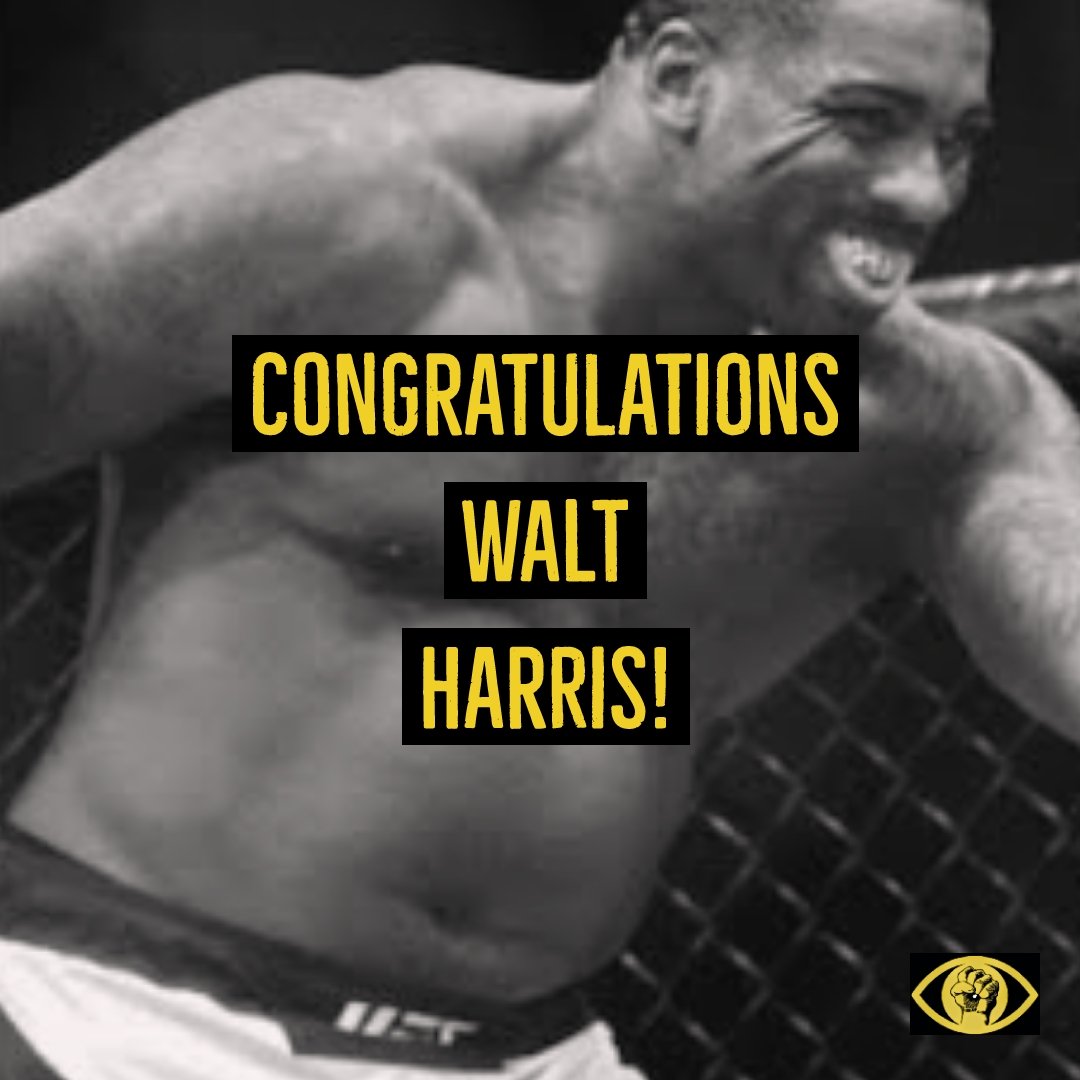 Combat IQ tweet media