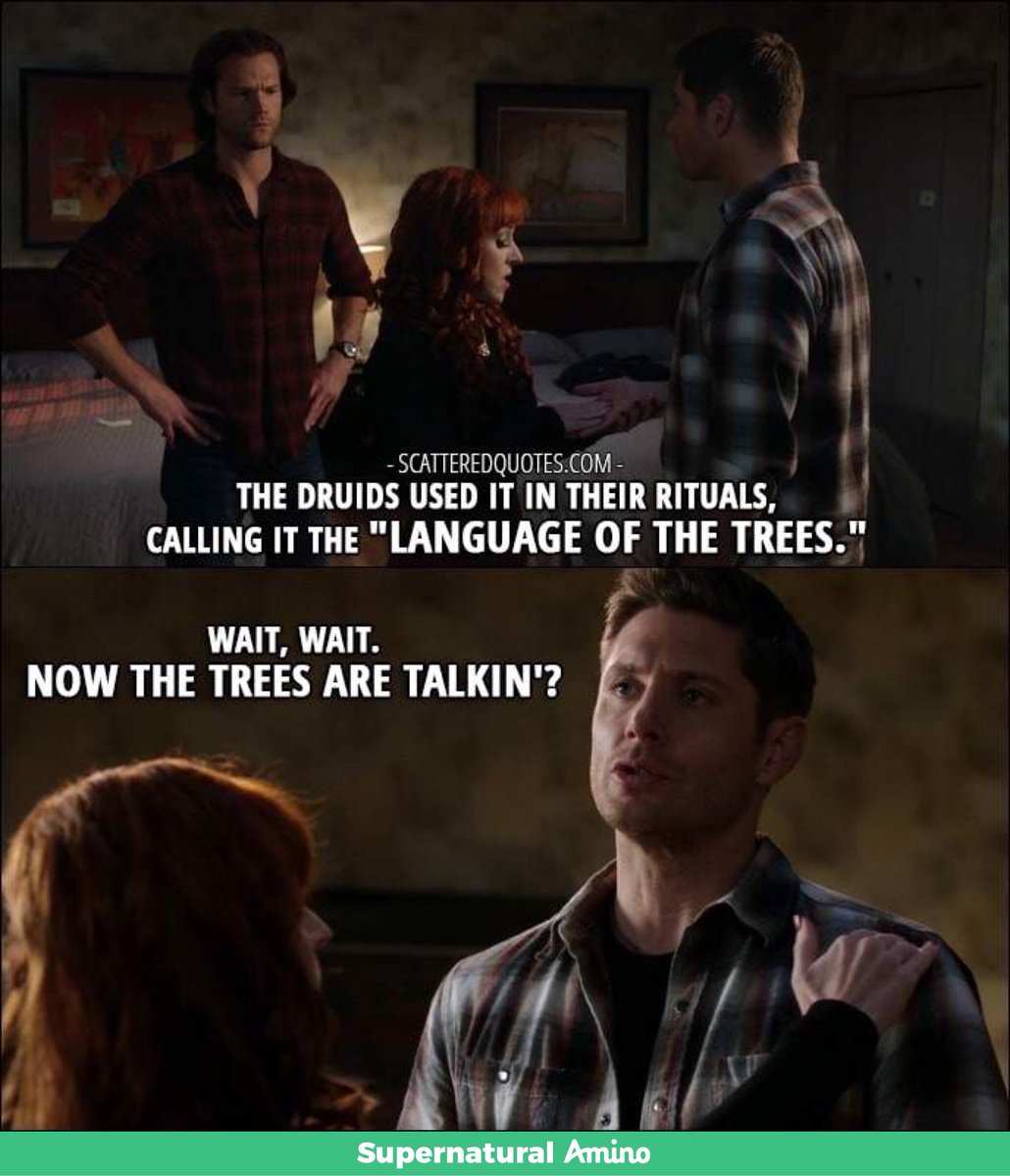 “Nobody better tell me that they’re echoing with laughter” 😒
#Supernatural #LedZeppelin #stairwaytoheaven